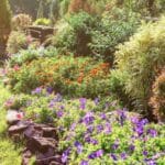 Aménagement jardin en pente raide : quel est le secret ?