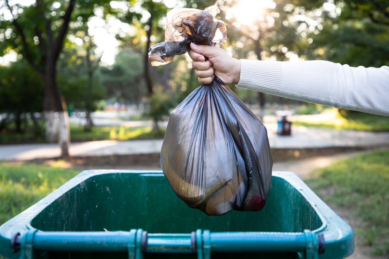 entrées et sorties des poubelles 