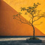 Comment bouturer un noyer : méthodes, défis et alternatives